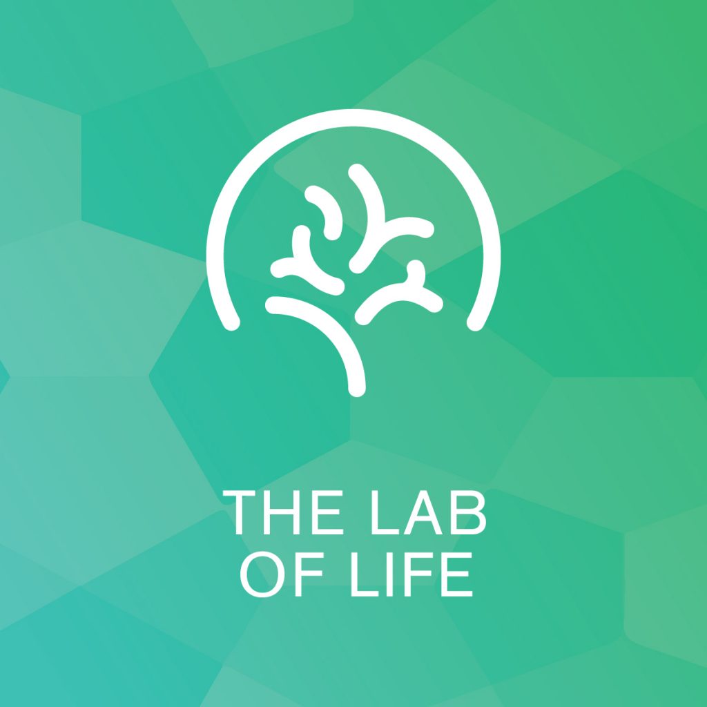 The Lab of Life