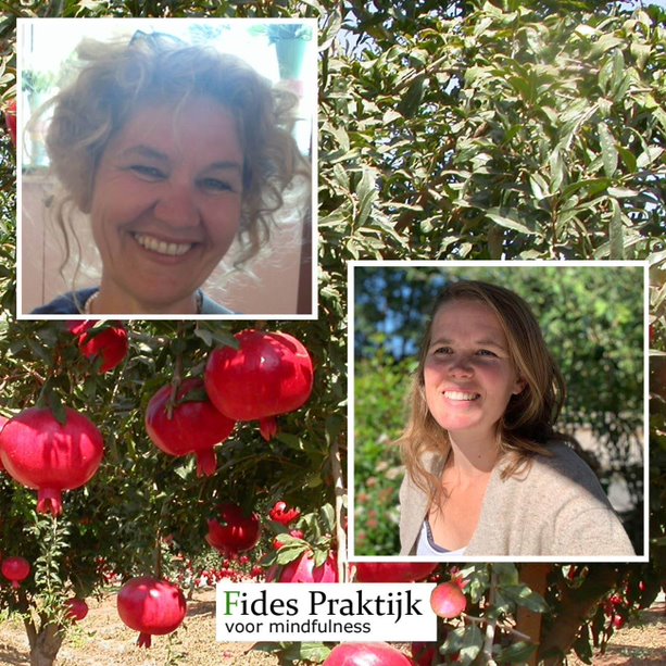 Fides Praktijk voor Mindfulness